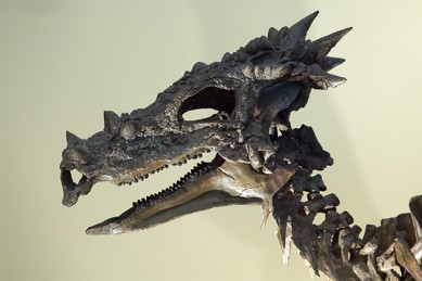 dračí král -  neboli dracorex. Krásné jméno...